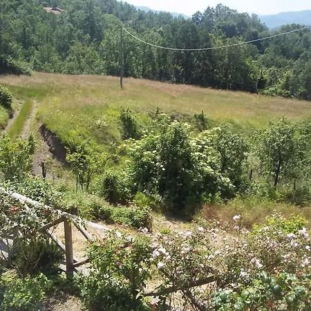 Agriturismo Le Tre Sorgenti 农家乐 瓦雷塞利古雷